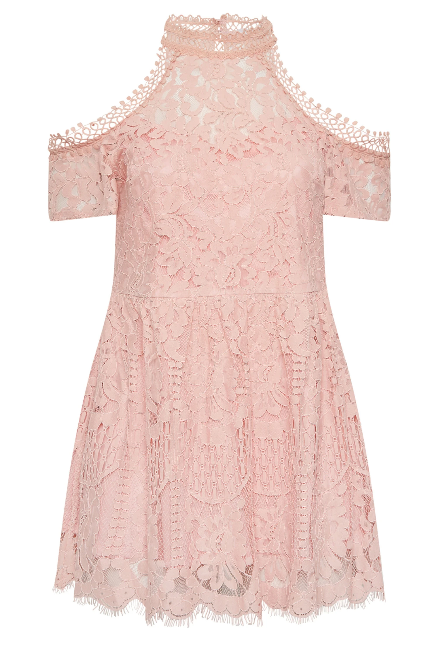 YOURS LONDON Curve Pink Cold Shoulder Lace Top 5 YOURS LONDON Curve Pink Cold Shoulder Lace Top - Image 5