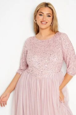 LUXE Curve Pink Sequin Hand Embellished Maxi Dress -Luna Looks Zone 195daabb f323 41 161157 D