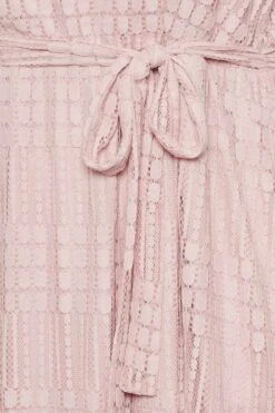 YOURS LONDON Curve Light Pink Lace Skater Dress -Luna Looks Zone 1f1640b6 dfc2 42 161999 Z