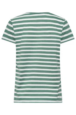 YOURS PETITE Curve 2 PACK Green & White Stripe T-Shirts -Luna Looks Zone 25b39b5e b249 40 174690 Y
