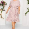 YOURS LONDON Curve Light Pink Floral Lace Skater Dress