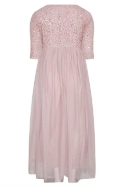 LUXE Curve Pink Sequin Hand Embellished Maxi Dress -Luna Looks Zone 67eab7a8 ff37 49 161157 BK