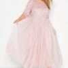 LUXE Curve Pink Sequin Hand Embellished Maxi Dress