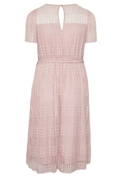 YOURS LONDON Curve Light Pink Lace Skater Dress -Luna Looks Zone 8c1363c2 fce6 44 161999 Y