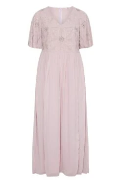 LUXE Curve Pink Floral Hand Embellished Maxi Dress -Luna Looks Zone 8eb224dd 3233 40 161158 X