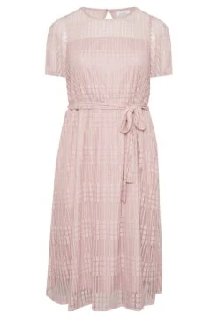 YOURS LONDON Curve Light Pink Lace Skater Dress -Luna Looks Zone 95aff485 7276 41 161999 X
