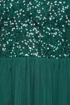 LUXE Curve Forest Green Sequin Hand Embellished Maxi Dress 9 LUXE Curve Forest Green Sequin Hand Embellished Maxi Dress -Luna Looks Zone 98226afb 581c 4d 161988 Z