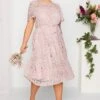 YOURS LONDON Curve Light Pink Lace Skater Dress