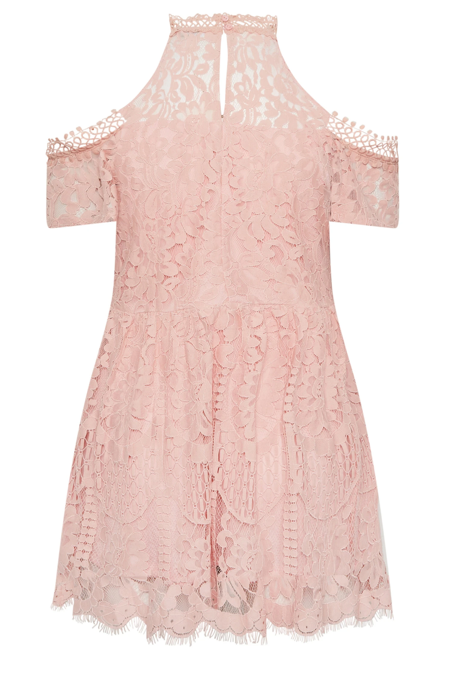 YOURS LONDON Curve Pink Cold Shoulder Lace Top 6 YOURS LONDON Curve Pink Cold Shoulder Lace Top - Image 6