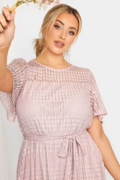 YOURS LONDON Curve Light Pink Lace Skater Dress -Luna Looks Zone b72b27d9 8798 4c 161999 A